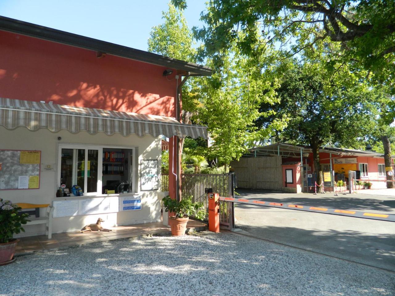 Camping Oasi Marina di Massa Exteriör bild